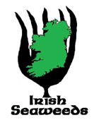 Irish Seaweeds Logo