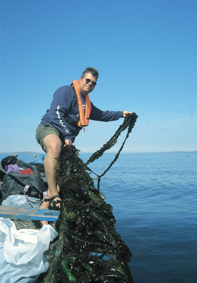 Seaweed Aquaculture in Ireland