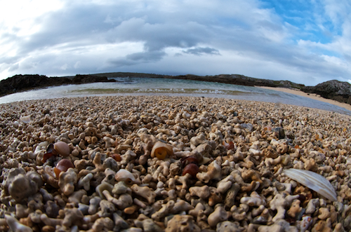 Maerl/Maërl Beach