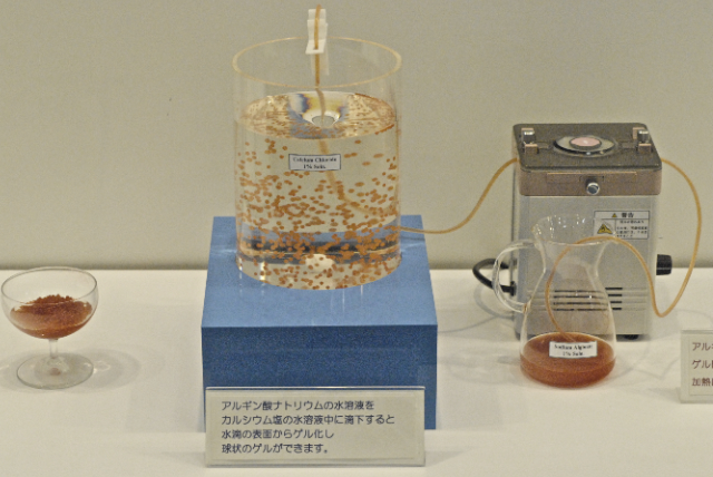 Manufacture of calcium aginate bead demonstration